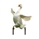 thumbnail image 3 of Goose Acrylic Garden Stake, Lawn Decorative Ground Plug, Cute Outdoor Yard Accent, for Home Garden, Lightweight Plastic, for Front Yard, Small Yard Decor, 3 of 6