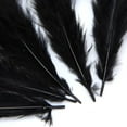thumbnail image 3 of 50Piece Black Feather Wedding Clothing Decoration For Craft DIY, 3 of 8