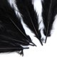 thumbnail image 3 of Conjunto de s de Bricoje Zulema Plumas artesanales para Disfraces Sombreros Decoración Del Hogar, 3 of 8