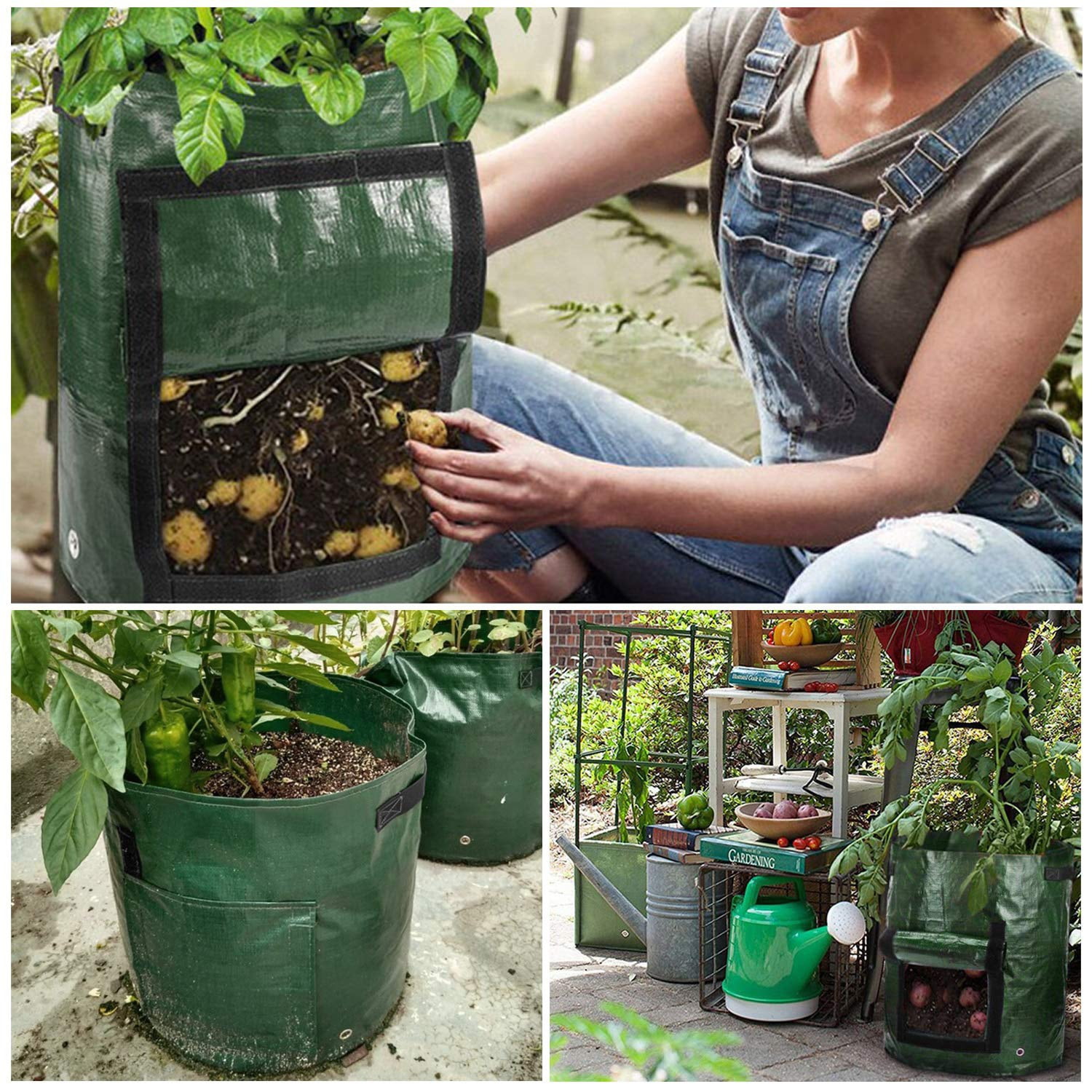 Planter bags  The perfect solution for your plants
