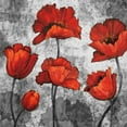 thumbnail image 3 of Francis, Brian 20x20 Black Modern Framed Museum Art Print Titled - Evening Red I, 3 of 5