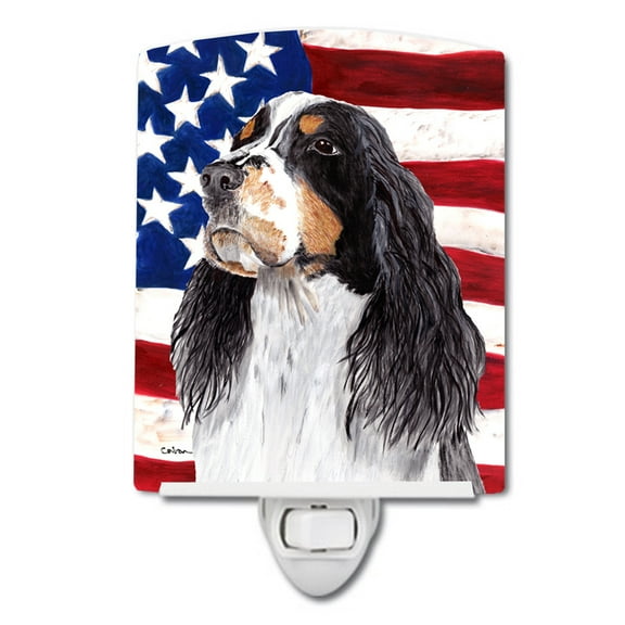 Caroline's Treasures SC9016CNL Flag with Springer Spaniel Ceramic Night Light, 6x4x3", multicolor