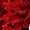 Red, variant on Sleeveless Latin Samba Rumba Dance Dress for Women Mesh Patchwork Cutout Metallic Back Sequins Tassels Bodice Lyrical Dancewear Silver S