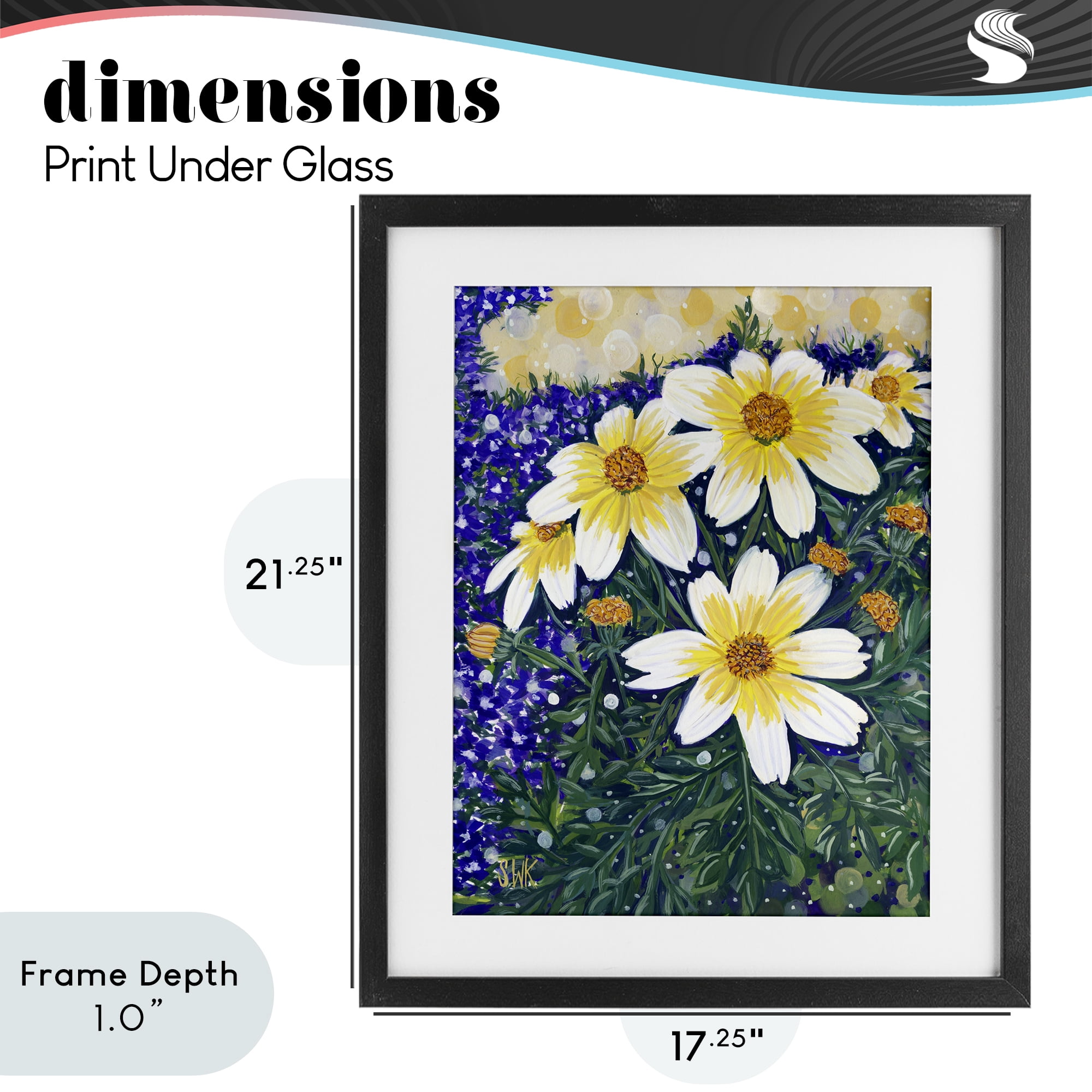 Stupell Industries Summer Garden Cosmos Black Framed Print Under Glass, design by Sarah Waldron Kimball