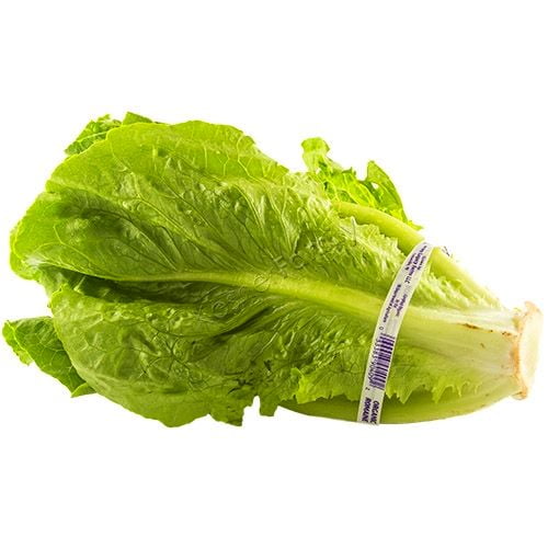 Romaine Lettuce, each