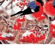 thumbnail image 5 of Kits de Pintura Sin Mc Números, Póster de Ped pa Decoración de Bricolaje de Oficina en Árbol de pájo BLESIY Cuadro de pintura al óleo, 5 of 6