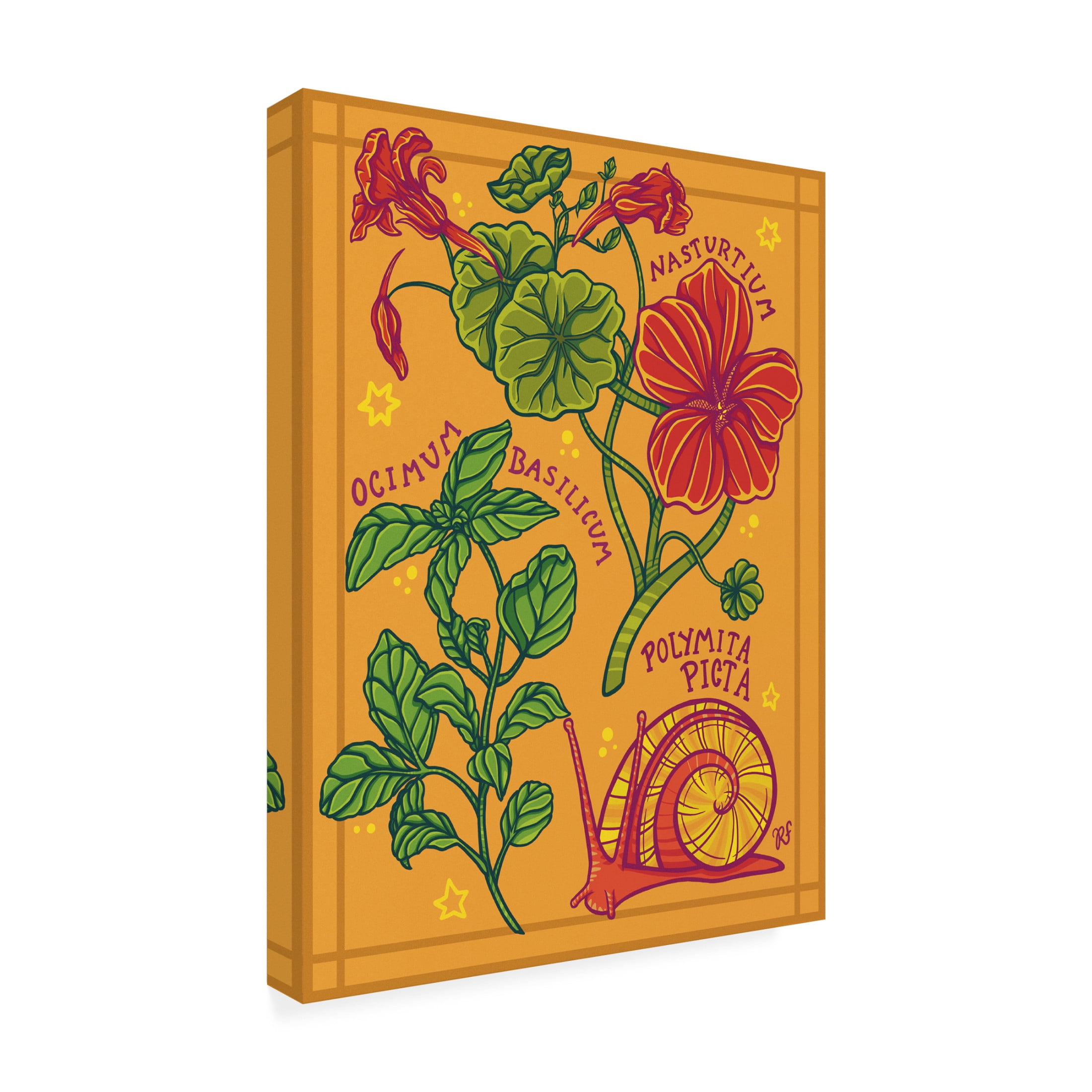 Canvas Wall Art - Rachel Feirman 'Garden Study' Wall Art for Living Room, Bedroom, or Office Décor by Trademark Fine Art - 14 x 19 Inches