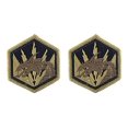 thumbnail image 2 of 336th Military Intelligence Brigade OCP Patch (Military Issued)-Veteran Owned Business-2 Pack, 2 of 3