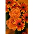 thumbnail image 2 of Maureen Love 13x18 White Modern Wood Framed Wall Art Titled - Summer Bouquet III, 2 of 5