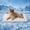 Grey, variant on Dog Cooling Mat for XL Dogs, Q-Max 0.5+ Cooling Fabric, Washable Breathable Pet Cooling Pad, Summer Crate Mat & Dog Bed, 41 x 28 Inch, Grey
