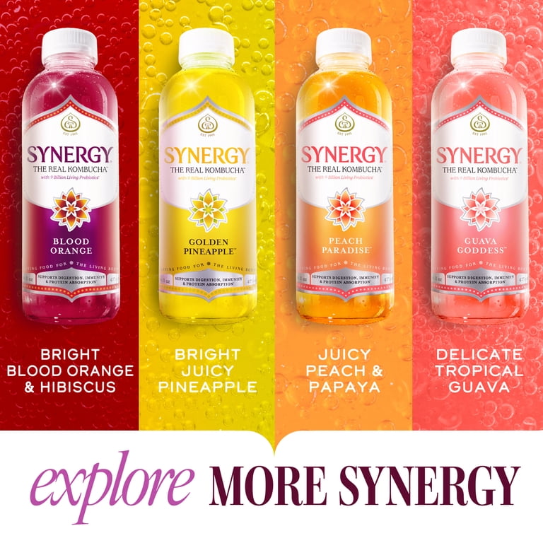 Synergy Honeycrisp Apple Kombucha 16 fl oz - Walmart.com