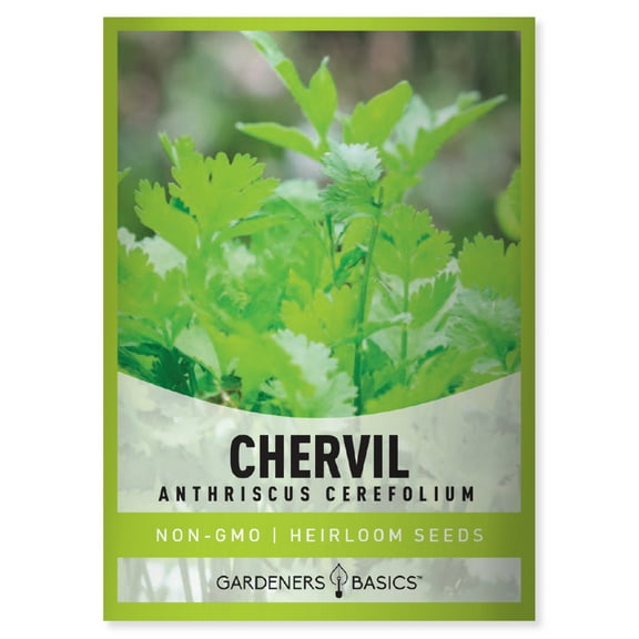 Chervil Seeds