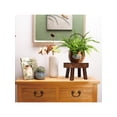 thumbnail image 2 of Indoor Plant Stand,Mid Century Wood Plant Stand Modern Plant Table,Plant Holder for Flower Pots,Small Round Side Table, 2 of 20