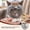 Beige, variant on Cat Muzzle Adjustable Anti-Bite Head Cover - Breathable Grooming Mask for Nail Trimming, Bathing & Vet Injections, Safe Fit for Cats(M,Beige)