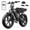 R9-Black-15AH, variant on TST Electric Bike for Adults, 750W Motor, 20"x4" Fat Tire E Bicycle, E Mountain Bike, 48V/15AH, Tested to UL2849 Standard by SGS