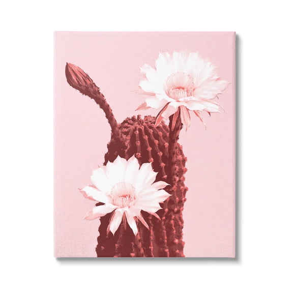 Stupell Industries Pink Cactus Flowers Botanical & Floral Painting Gallery Wrapped Canvas Print Wall Art, 16 x 20