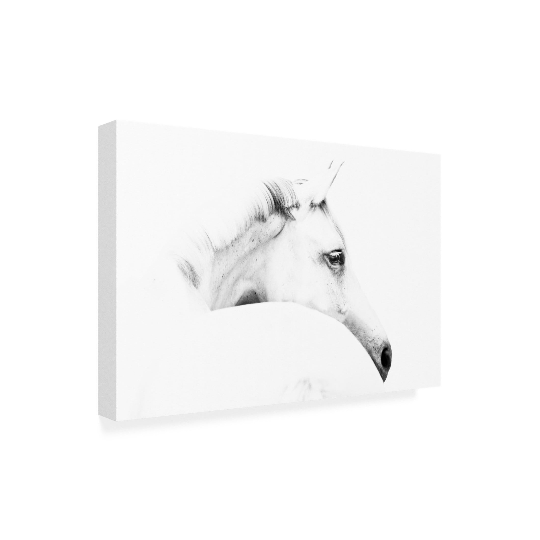 Trademark Fine Art Ulrike Leinemann Horse And Minimalism Canvas Wall Art