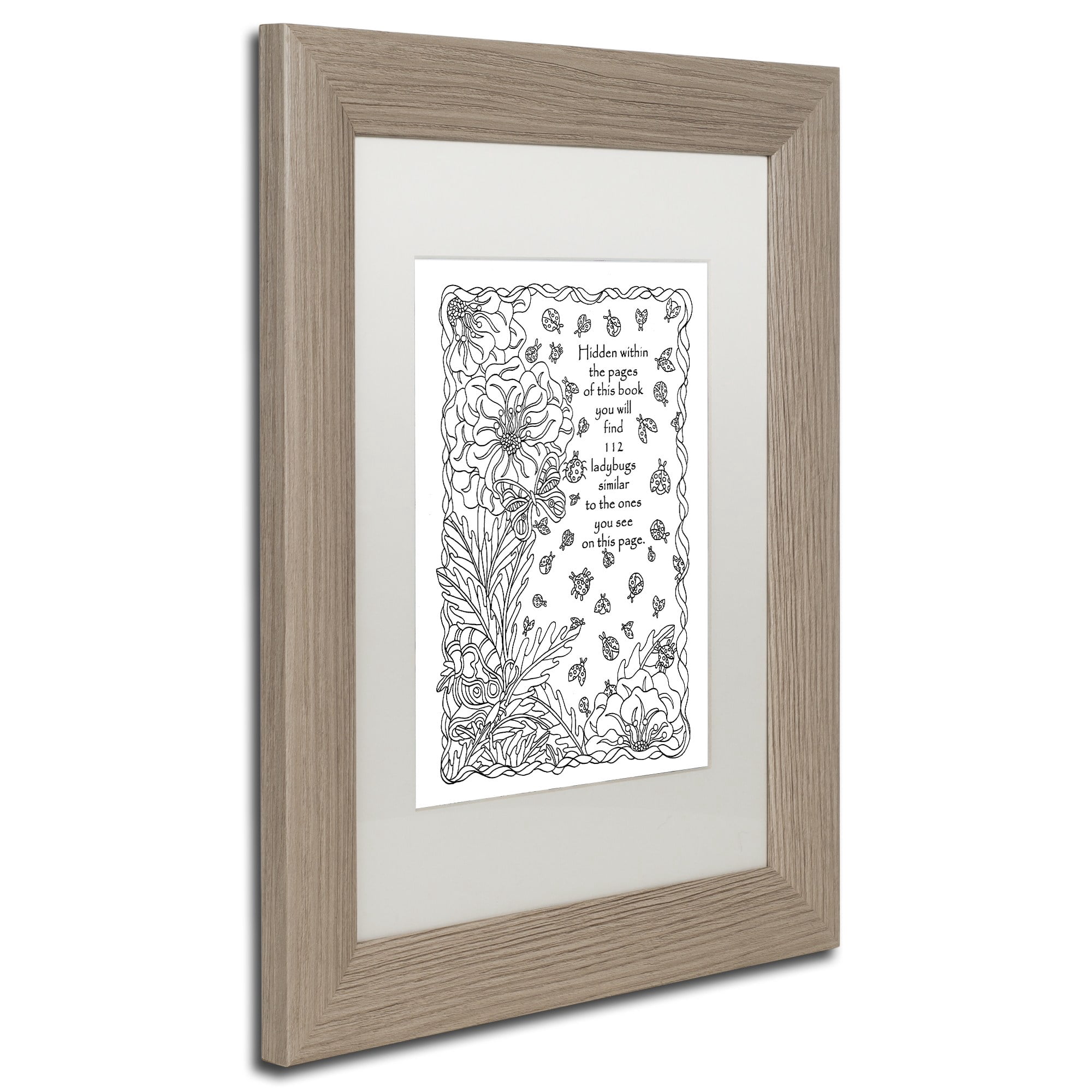 Trademark Fine Art "Key Telling How Many To Find" Canvas Art by Kathy G. Ahrens, White Matte, Birch Frame