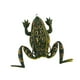 thumbnail image 3 of Señuelo de pesca de rana ligero y resistente con anzuelo, cebo de pesca realista para trucha y lucio Verde oscuro, 3 of 8
