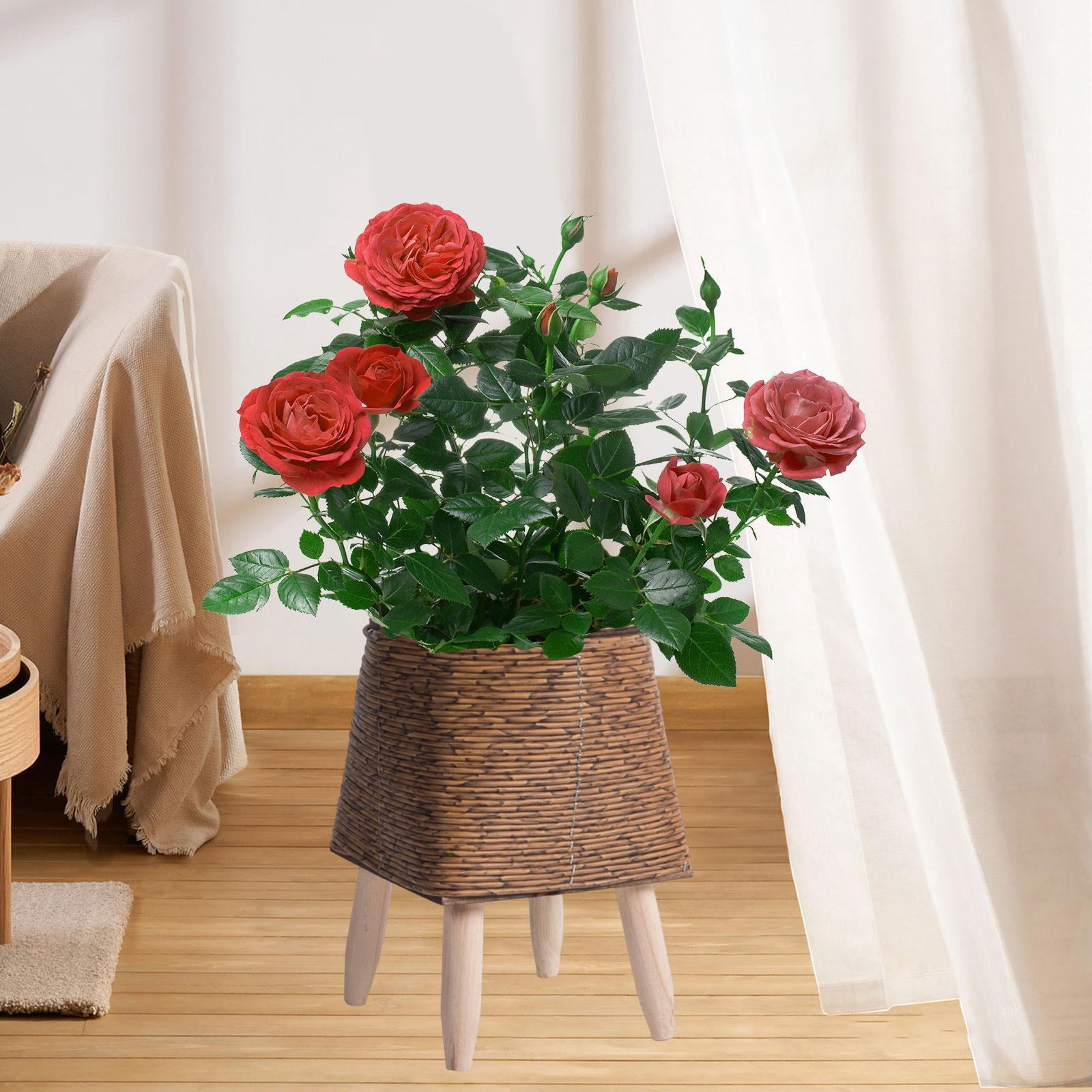 Woven Basket for Plant with Legs Basket Planter Flowerpot Rustic Rattan Basket Flower Pot for Balcony Apartment Drawing Room Decorations Square Dark Brown