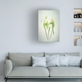 thumbnail image 2 of Trademark Fine Art Lydia Jacobs Yellow Tulips Canvas Wall Art, 2 of 4
