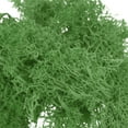 thumbnail image 4 of Uxcell 10 OZ Musgo Falso Musgo Reindier Conservado Musgo Artificial Decorativo para Plantas en Macetas Manualidades, Verde, 4 of 6