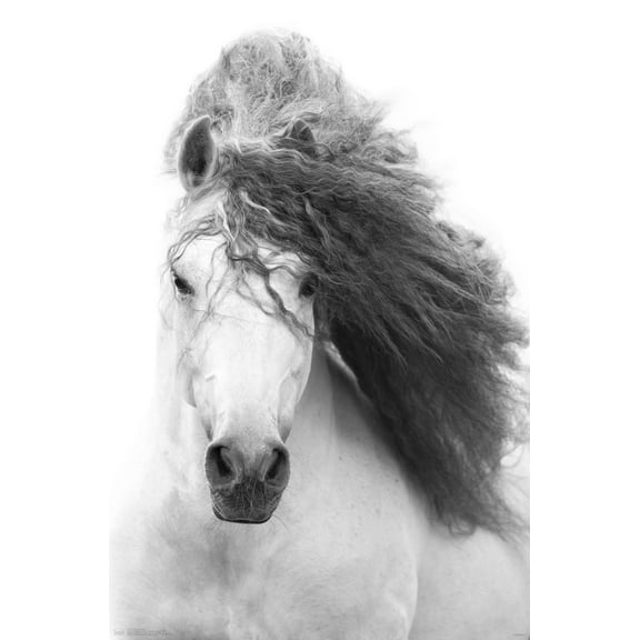 Grayscale Horse Wall Poster, 22.375" x 34"