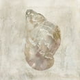 thumbnail image 2 of Robinson, Carol 15x15 White Modern Wood Framed Museum Art Print Titled - Seashell Illusion IV, 2 of 4