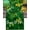 St. Patricks Day6655, variant on St. Patricks Day Table Runner 13x90 Inches Long Green Clover Hat Runner for Table Green White Stripe Table Runners Cotton Linen Dresser Scarf for Kitchen Coffee Dining Spring Holiday Party Decor
