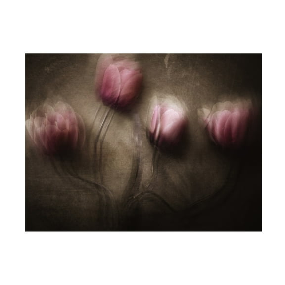 Canvas Wall Art - Kahar Lagaa 'Fantastic Four' Wall Art for Living Room, Bedroom, or Office D?cor by Trademark Fine Art - 19 x 14 Inches