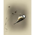 thumbnail image 2 of Brown, Jim 15x18 Gold Ornate Wood Framed with Double Matting Museum Art Print Titled - Black Capped Chickadee 2, 2 of 4