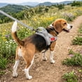 thumbnail image 6 of Dog Harness,No Pull Dog Harness, Adjustable Soft Harness with Breathable Mesh Padded, Reflective Lightweight Harness for Extra Small Medium Dogs, 6 of 6