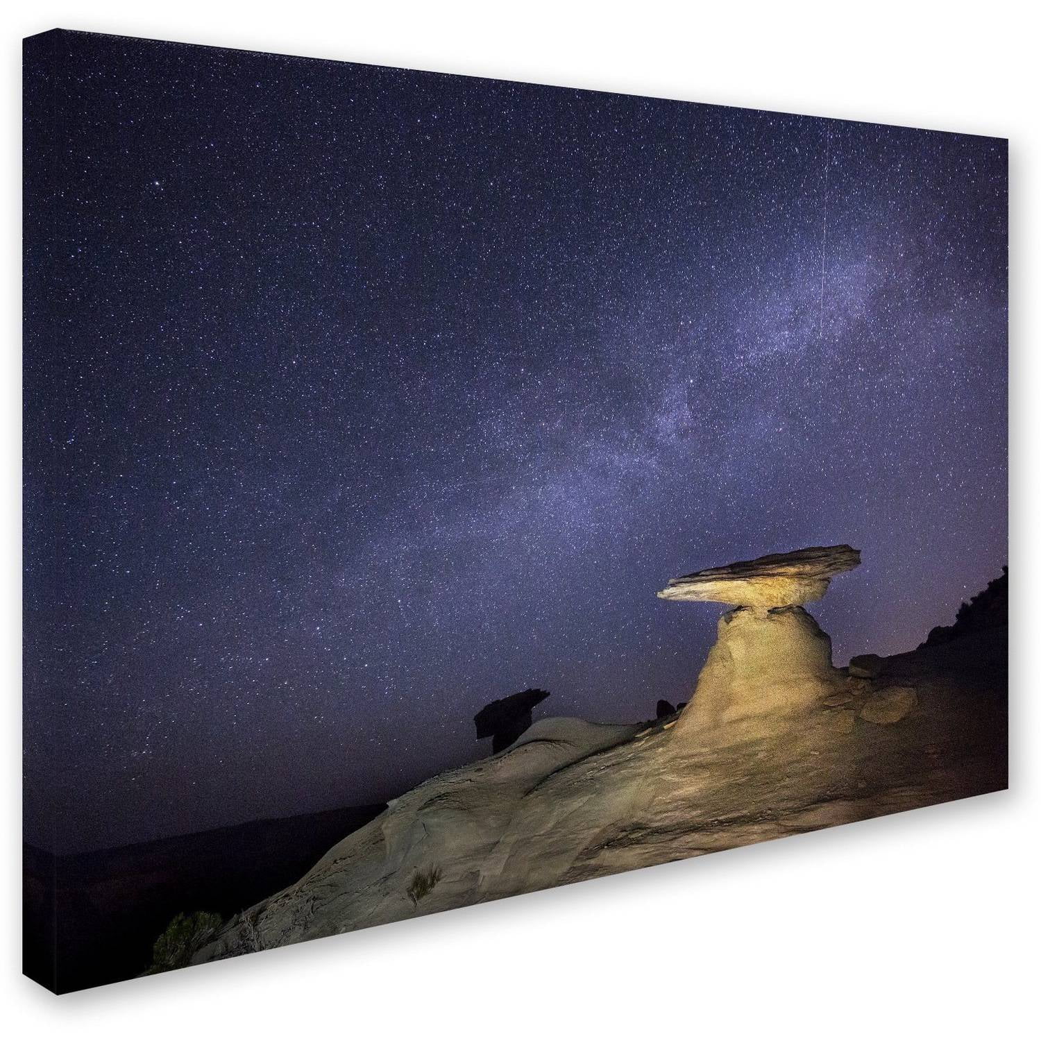 Trademark Fine Art "Starry Night in Arizona III" Canvas Art by Moises Levy