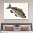 thumbnail image 4 of Póster de lienzo con pintura de peces, decoración de dormitorio, paisaje deportivo, decoración de oficina, regalo, estilo marco, 20 x 30 cm, 4 of 8