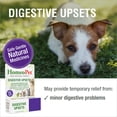 thumbnail image 2 of HomeoPet DIGESTIVE UPSETS Digestive Health Support Drops for Pets, 15 mL, 2 of 7
