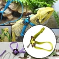 thumbnail image 2 of Mini Pig Adjustable Harness Leash For And Other Small Animals Ferret Rabbit Dog Cat, 2 of 3