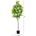 thumbnail image 6 of Nearly Natural Flowering Citrus Artificial Potted Tree - 6', 6 of 6
