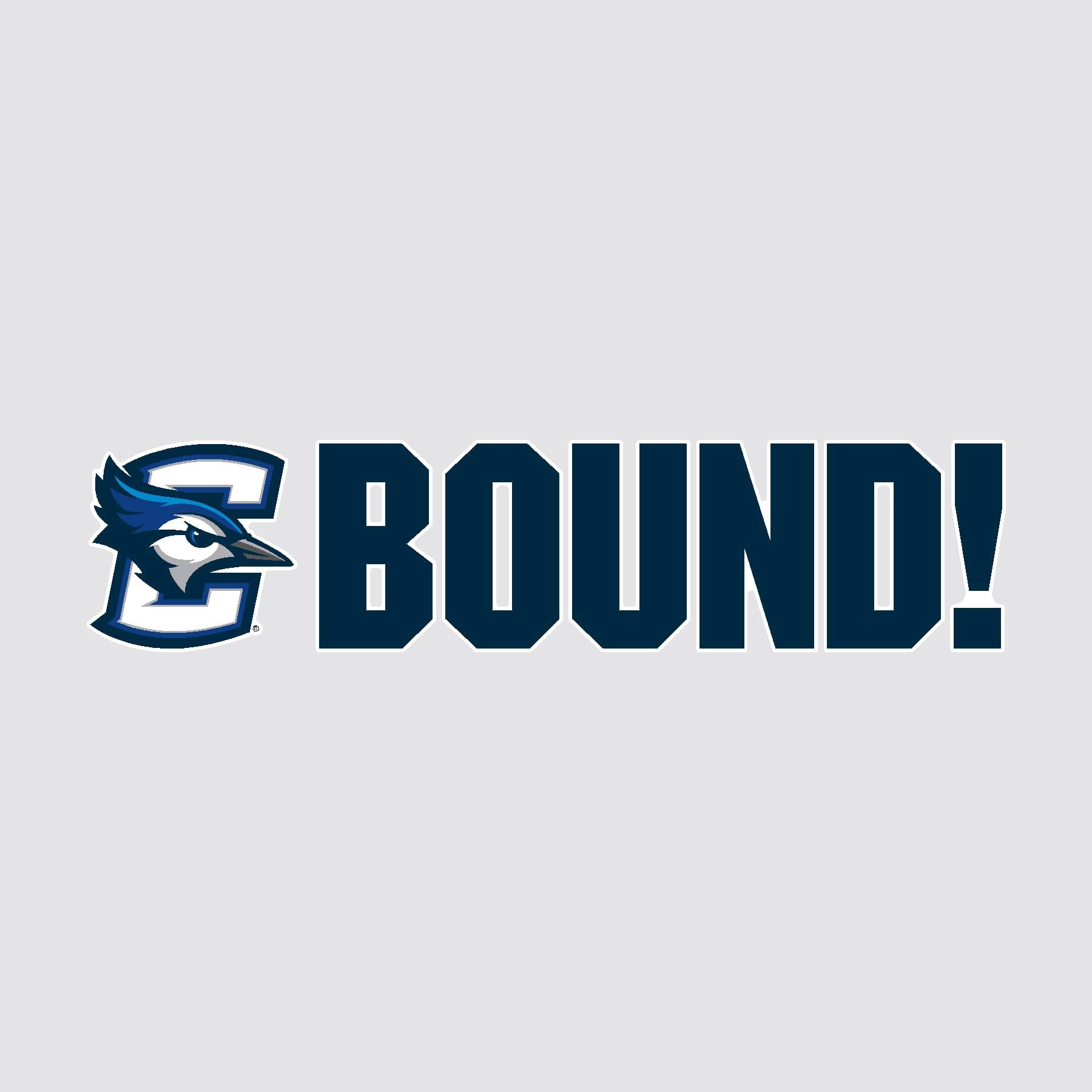 Color Shock Products School BOUND Mascot Yard Sign Set compatible with Creighton University
