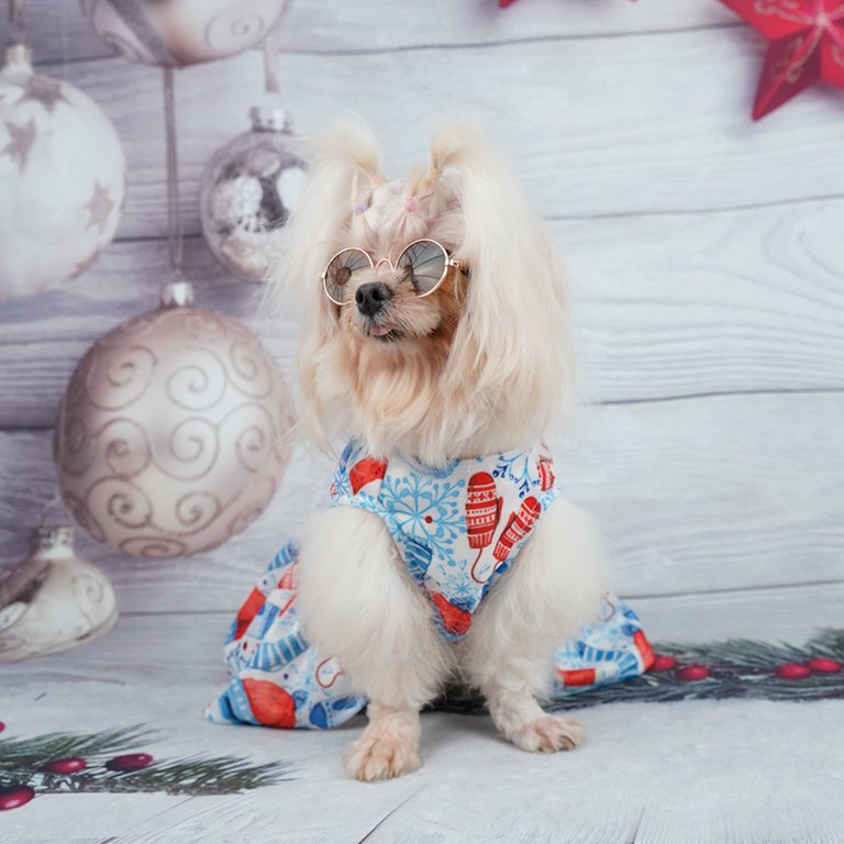 Holiday Theme Dog Outfit Romantic Dogs Dresses Lightweight Velvet Pet Clothes Dog Costume Puppy Dress Doggie Party Girl One Piece with Bowknot Cat