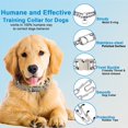 thumbnail image 3 of Collar con forma de pinza Safiman para perros, ajustable, de adiestramiento, 3 of 6