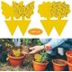 thumbnail image 1 of 48 piezas trampa para moscas enchufable, placas amarillas, pegatina amarilla, protección de plantas contra pulgones, moscas de las hojas y alimañas, ideal para plantas en el balcón o en el, 1 of 5