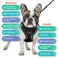 thumbnail image 6 of Filbert Dog Harness and Leash Set,  3/4 inch X 4.6ft Strong and Durable Leash, Step-in Reflective Harness Small Sized Dogs, Mesh Vest, High Reflectivity, Breathable Fabric, Heavy Duty Velcro, 6 of 7