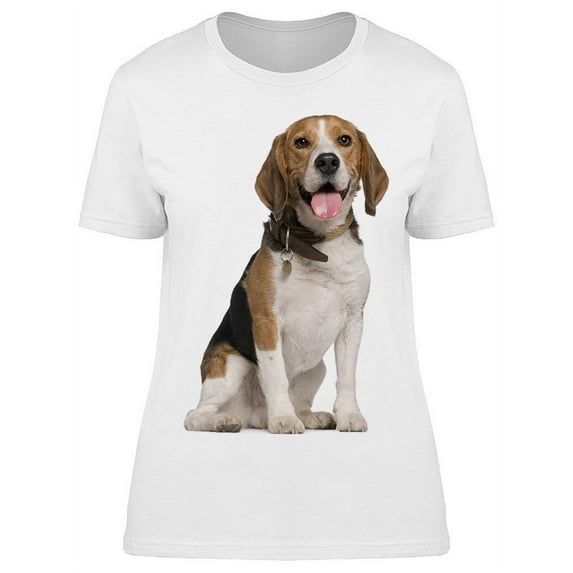 Cute Sitting Beagle Dog. T-Shirt Women -Image by Shutterstock, Female Medium