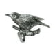 thumbnail image 2 of Colgador de pájaros en una rama, colgador de pared, utensilios para mejorar el hogar, de pared de resina para puerta de , cocina, baño, , Estilo E 12x3.5x7.3cm BLESIY Percheros, 2 of 8