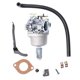 thumbnail image 1 of Desde China  Briggs & Stratton  594593 591731 794572 796109 494572, Nikki intek 21hp, 1 of 6