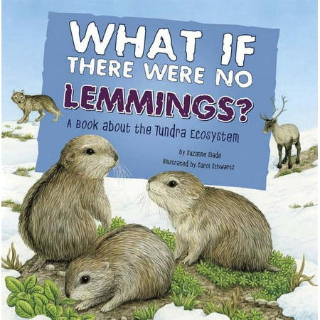 Food Chain Reactions: What If There Were No Lemmings?: A Book about the Tundra Ecosystem (Paperback)