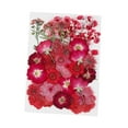 thumbnail image 3 of Flores prensadas secas, hojas prensadas, flores secas de boda, flores reales para manualidades de resina, manualidades de relleno de jarrones, manualidades florales, marcapáginas Estilo B BLESIY Flores secas prensadas, 3 of 8
