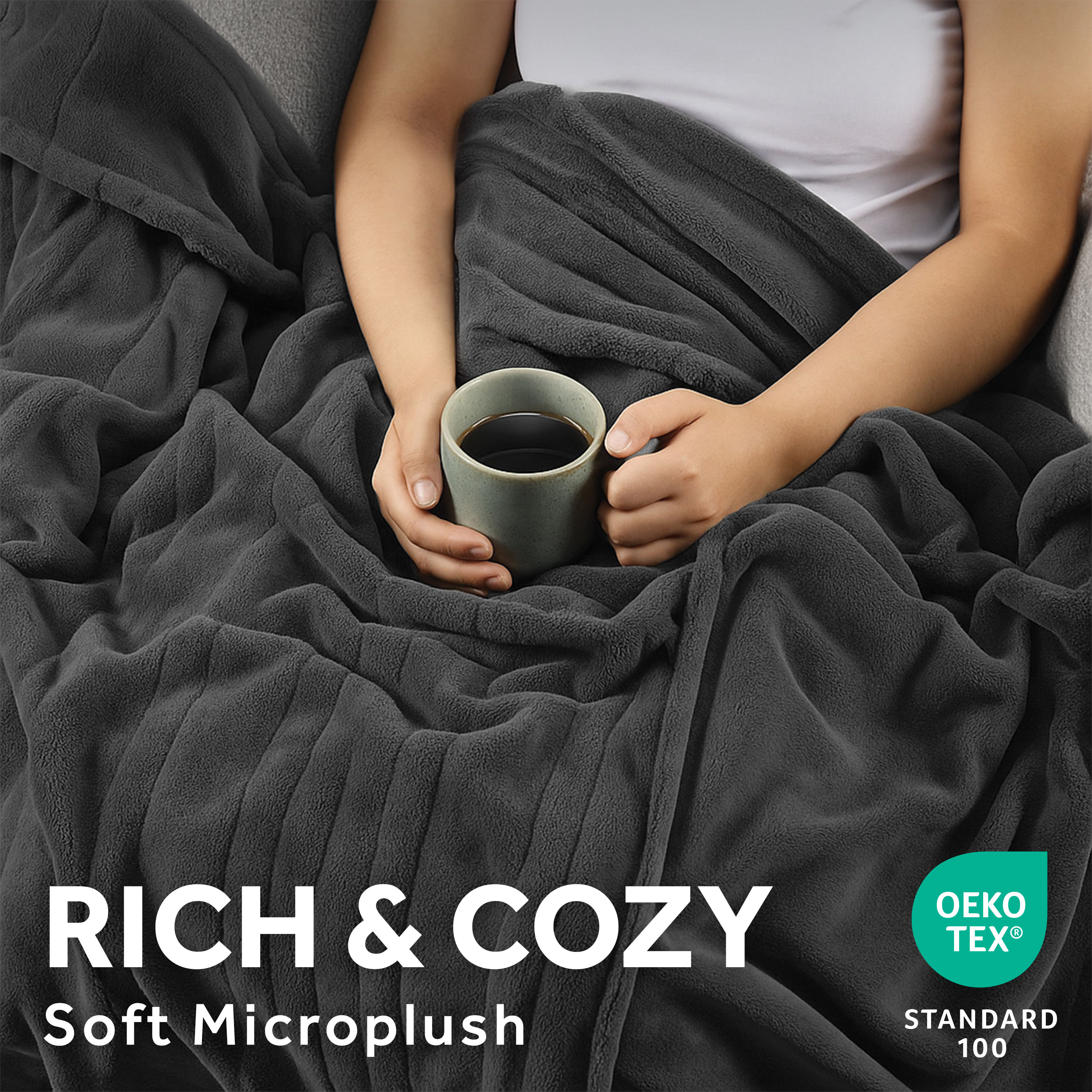 Sunbeam Heated Microplush Bed Blanket, Twin Size photo 4