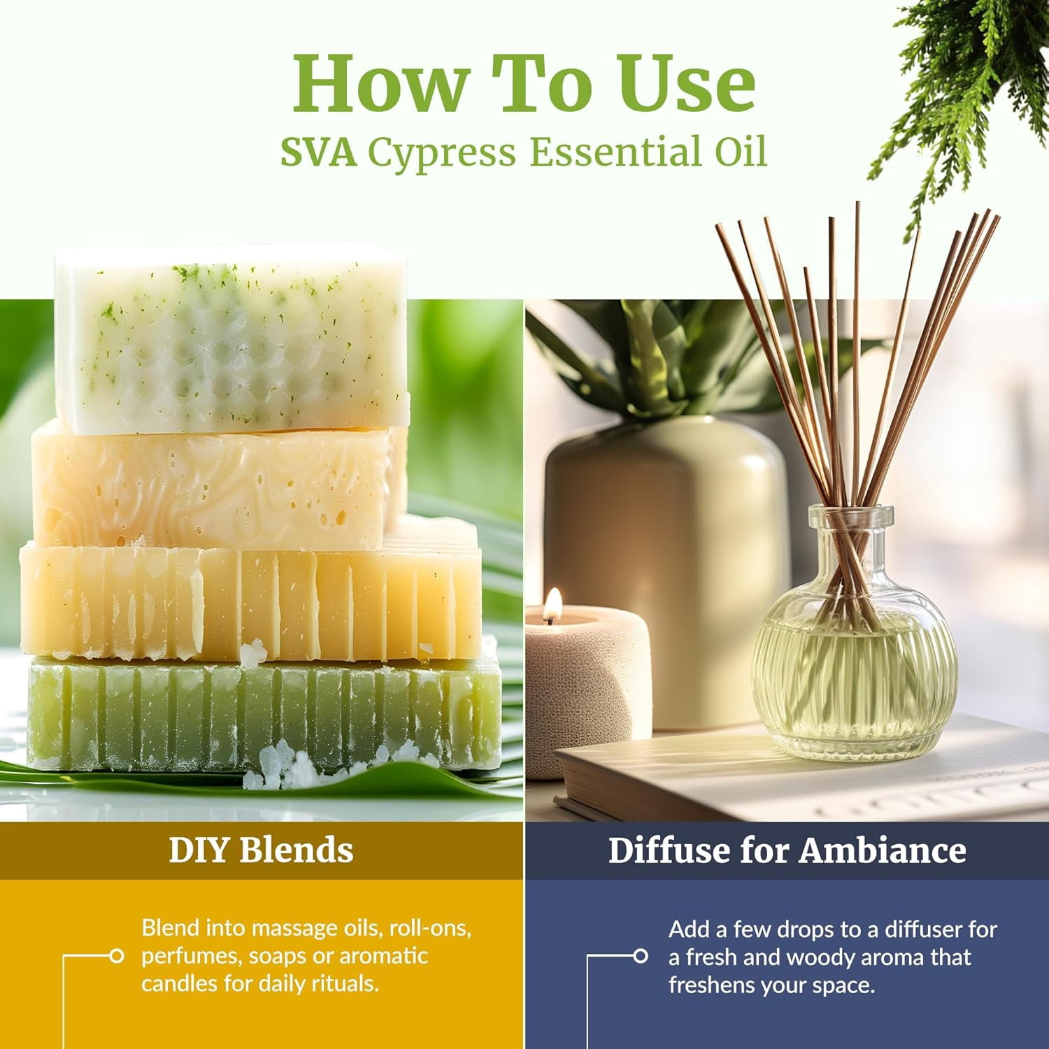 SVA Cypress Essential Oil – 4 Fl Oz – 100% Natural Cypress Oil - for Diffuser, Hair Care, Face, Skin Care, Aromatherapy, Scalp and Body Massage, Soap and Candle Making – with Dropper