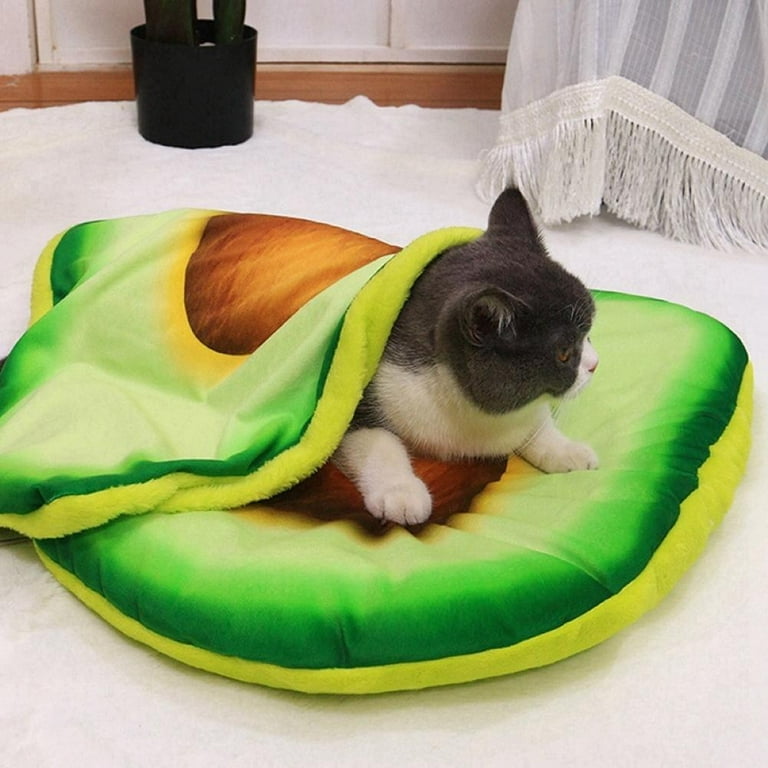 Pizza cat bed online